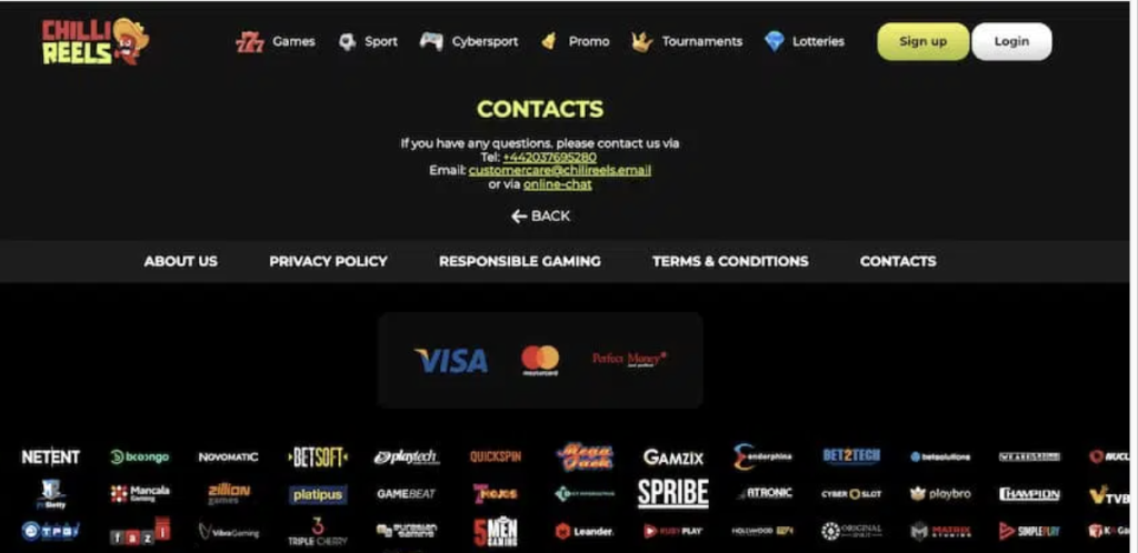 Image of Chilli Reel casino website